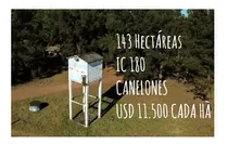Comprar Se Vende Propiedad Con 143 Has Ganaderas, Con Varias Edificaciones, Hermoso Entorno Natural, Sobre Ruta Nacional. Excelente Ubicación En Aguas Corrientes