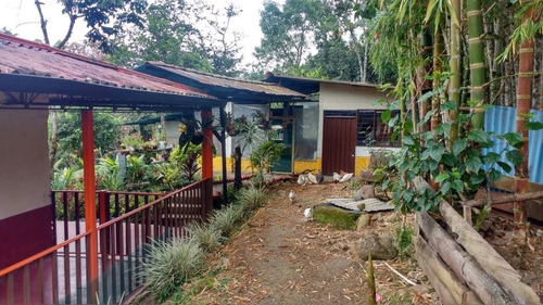 Imagen 6 de 10 de Venta Terreno Campestre - Popayán