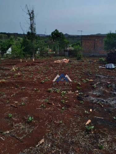 Imagem 8 de 30 de Chácara Com 2 Dormitórios À Venda, 2500 M² Por R$ 350.000,00 - Distrito Maravilha - Londrina/pr - Ch0235