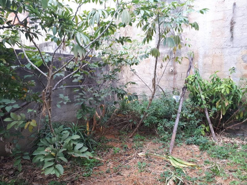 Imagem 8 de 8 de Terreno Com Salão Em Perus - 9849