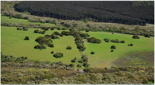 Imagen 10 de 13 de Terreno Campo En Venta Ubicado En El Tesoro, Punta Del Este