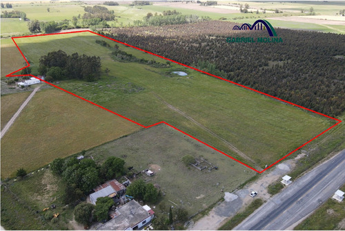 En Venta. 10 Ha Agrícolas - Ganadera.ubicación Estratégica.