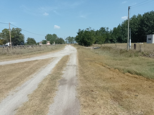 Terrenos En Venta En Zona Rural Partido De Chascomús.