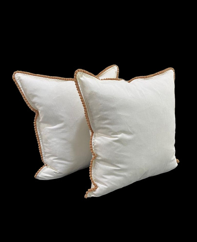 2 Almohadones Decorativos De Tusor 