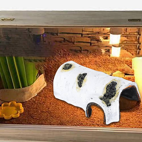 Muelle Para Reptiles Para, Rampa Para Escalar Estilo C