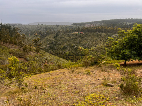 Campomar Acceso A Playa Virgen Tunquen, Refugio Forestal