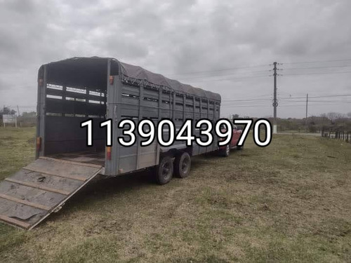 Imagen 2 de 5 de Traslado De Caballos