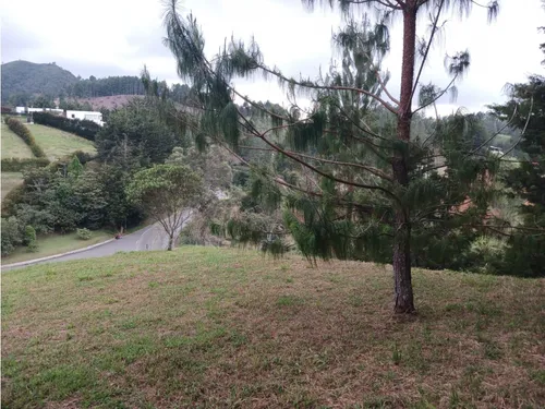 Lote Campestre En Venta En La Vía Don Diego La Ceja- El Chuscal