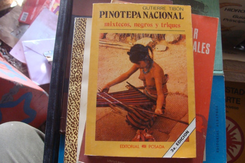 Pinoteca Nacional , Mixtecos , Negros Y Triques , Gutierre T