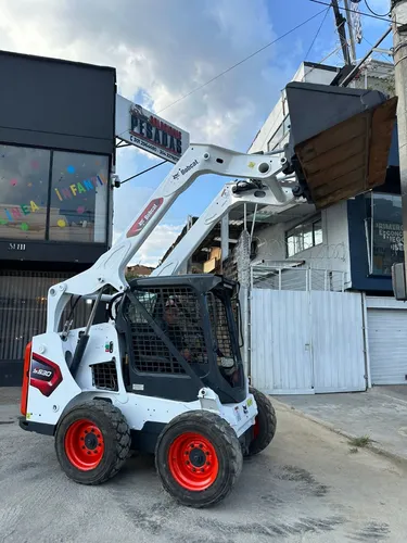 Bobcat