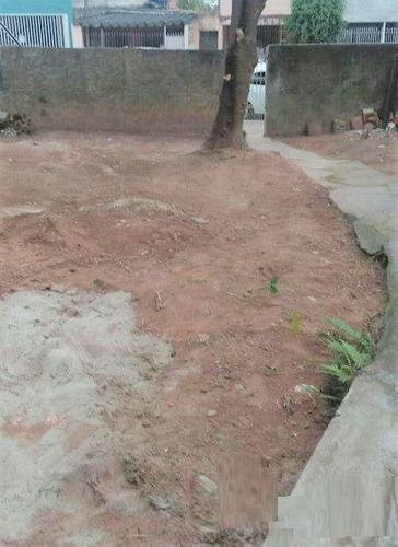 Imagem 9 de 10 de Terreno No Aricanduva Com 312m² - Te0153
