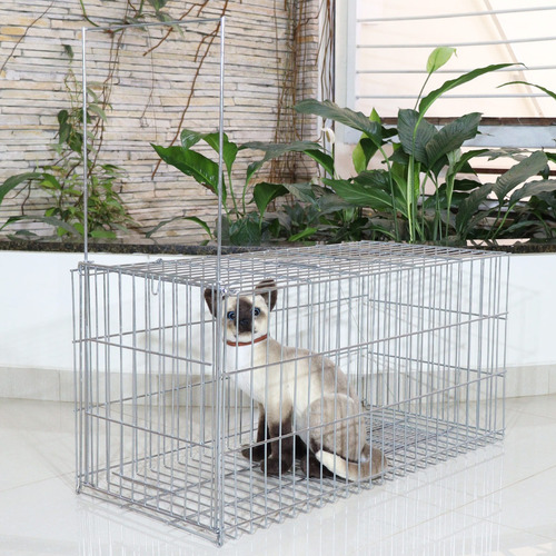 Armadilha Gatoeira Para Pombos E Diversos Animais