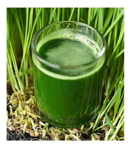 Green grass juice sale