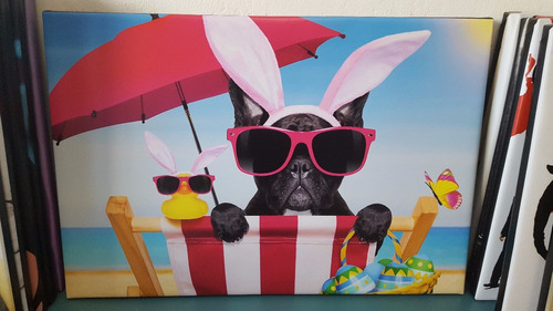 Cuadro 40x60cm Bulldog Frances Playa Mar Funny Lentes Perro