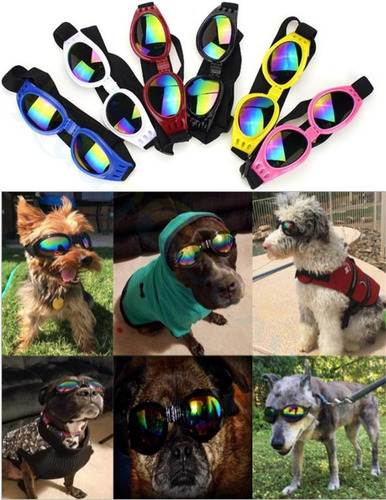 Imagem 4 de 4 de Óculos Pet Estilo Motoqueiro