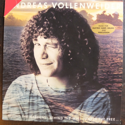   Vinilo Andreas Vollenweider ... Behind The Gardens Bte23