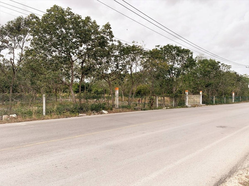 Imagen 6 de 7 de Venta De Terreno