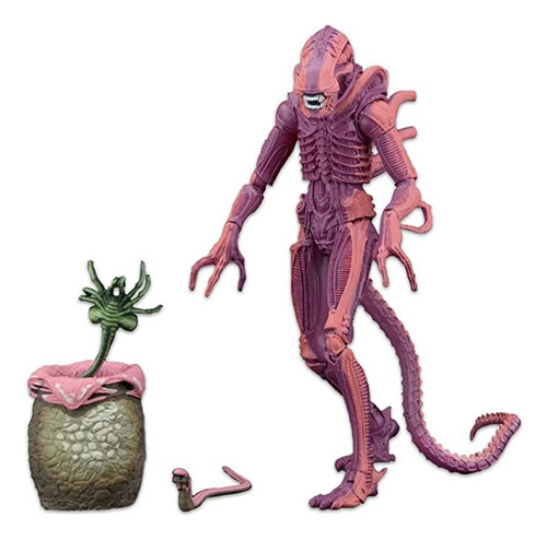 Aliens Escala Warrior De Neca (apariencia Arcade), Figura D.