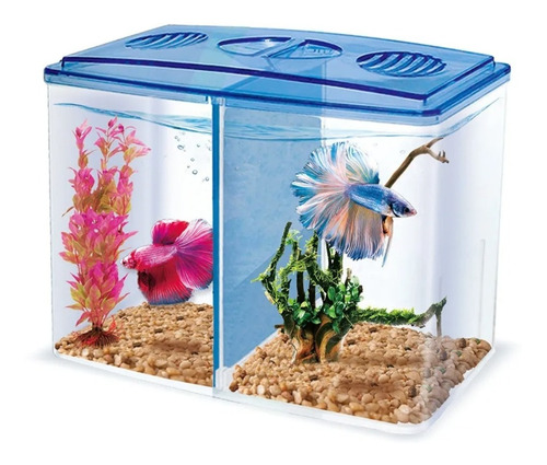 Imagen 3 de 5 de Pecera Chica Para Pez Betta Betera Doble De Plastico 1.5 Lt