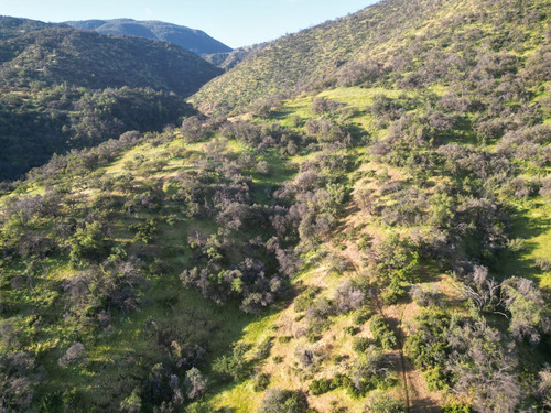 Venta Terreno De 31,7 Has - 317.000 M2 - Lo Barnechea