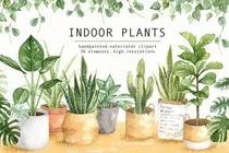 Comprar Cliparts Imagenes Png Plantas Interiores Acuarelas Es25