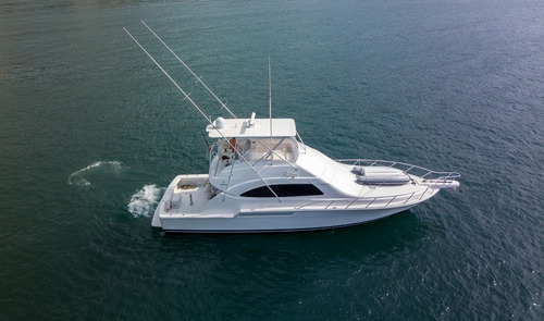 Bertram 51