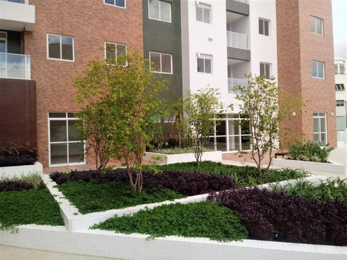 Apartamento Com 3 Quartos À Venda, Bigorrilho - Curitiba/pr - Ap2620