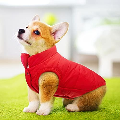 Chaqueta Para Perros De 2 Piezas Chaqueta Para Perros Cálida
