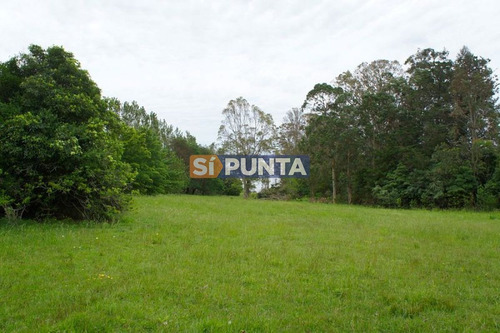 Imagen 9 de 10 de Chacra A La Venta En Laguna Del Sauce