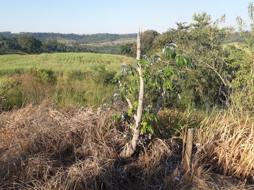 Imagem 13 de 30 de Sítio À Venda, 158994 M² Por R$ 700.000,00 - Santa Terezinha - Piracicaba/sp - Si0028