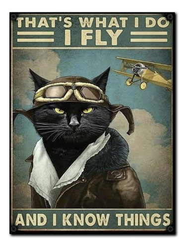 #1150 - Cuadro Decorativo Vintage - Gato Negro Avión Poster 