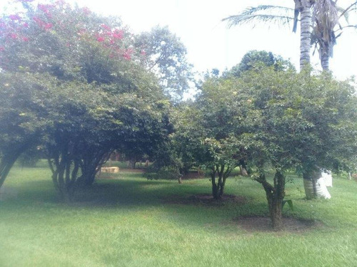 Imagem 19 de 21 de Chácara - 9425