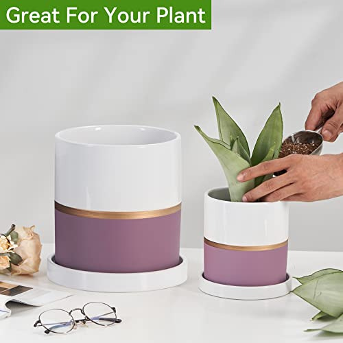 Maceta Para Planta Ekirlin De 5 Pulgadas - Macetero De Cerám