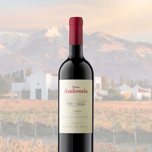 Vino Precioso Cabernet Sauvignon 1x750 Ml - Finca Ambrosia