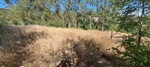 Tu Refugio Soñado A 35 Km De Temuco