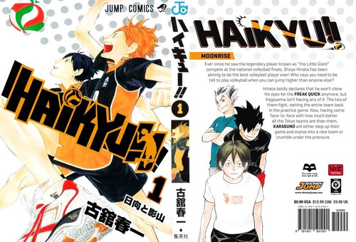 Manga De Haikyuu De Elaboracion Fanmade En Español 10 Tomos 