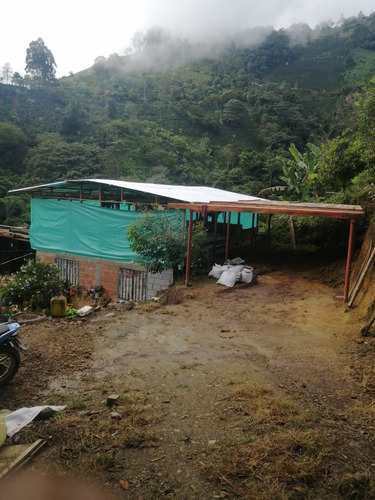 Se Vende Finca V. San Juan Bajo Génova Quindío 