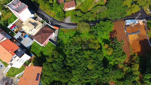 Lote Com 6.500m2 No Cônego - 304