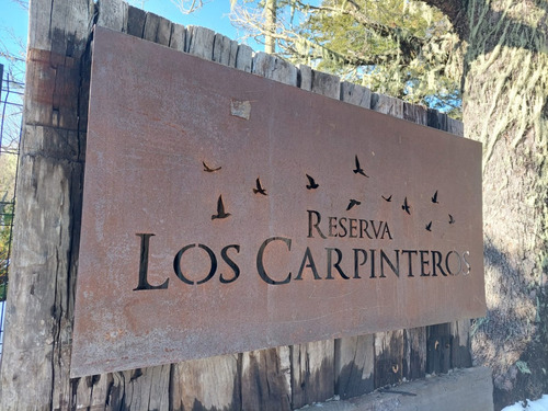 Sitios En Shangrilá - Los Carpinteros - Pangue Propiedades