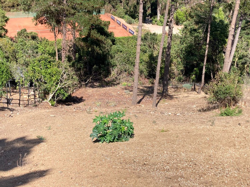 Terreno Excelente Ubicación A 2 Calles De Playa En...
