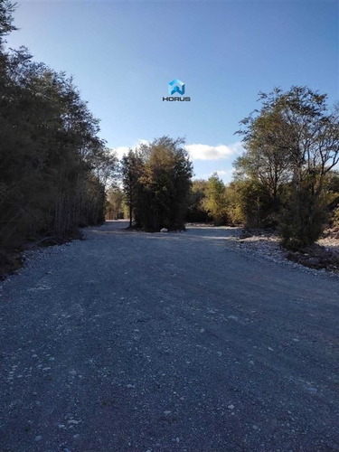 Imagen 18 de 24 de Sitio En Venta En Calbuco