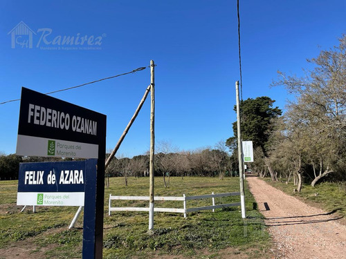 Imagen 14 de 30 de Lote Terreno En Venta 300 M2 - Parques Del Morenito, Moreno Norte