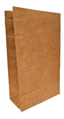 Bolsa De Papel Kraft - Grande X 25u