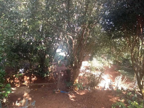 Imagem 9 de 15 de Chacara - Inacio Martins - Ref: 6030 - V-anp6030