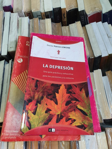 La Depresión - Dr Patrick Lemoine - Ed Capital Intelectual