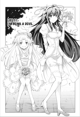 High School DxD, Vol. 1 - manga (High by Caleb D. Cook