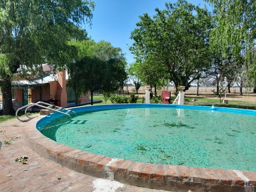 Imagen 5 de 28 de Hermosa Casa En Alquiler Temporario