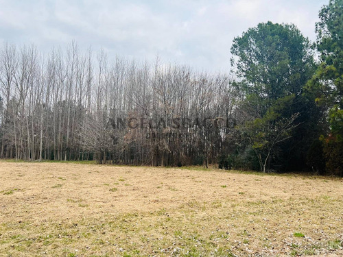 Imagen 9 de 24 de Terrenos Industriales