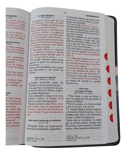 Biblia Reina Valera 1960 Letra Grande Cordero/león - Índice