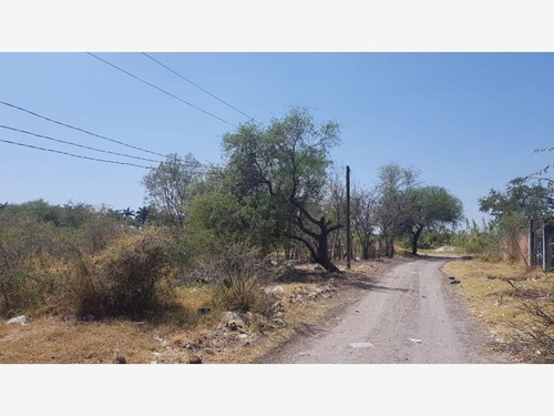 Imagen 4 de 7 de Terreno En Venta Plan De Ayala